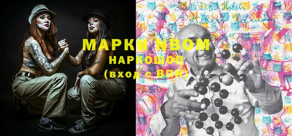шишки Баксан