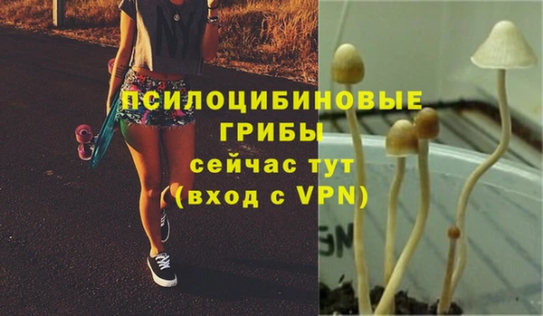 гидра Белокуриха