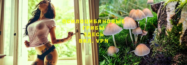 шишки Баксан