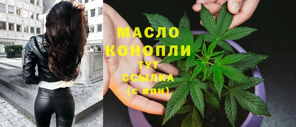 шишки Баксан