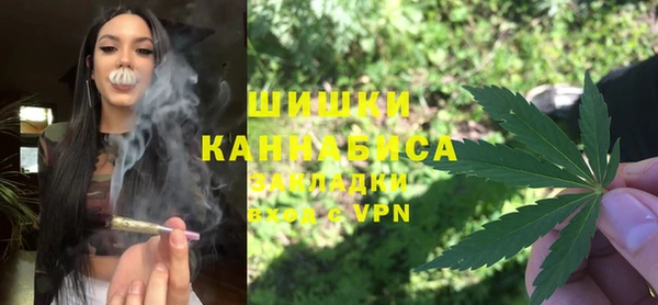 шишки Баксан