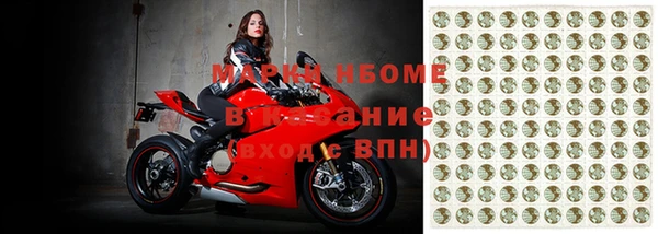 шишки Баксан