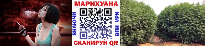 Каннабис ГИДРОПОН Нововоронеж